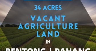 VACANT AGRICULTURE LAND FOR RAN